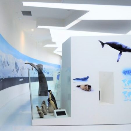 intérieur espace des mondes polaires